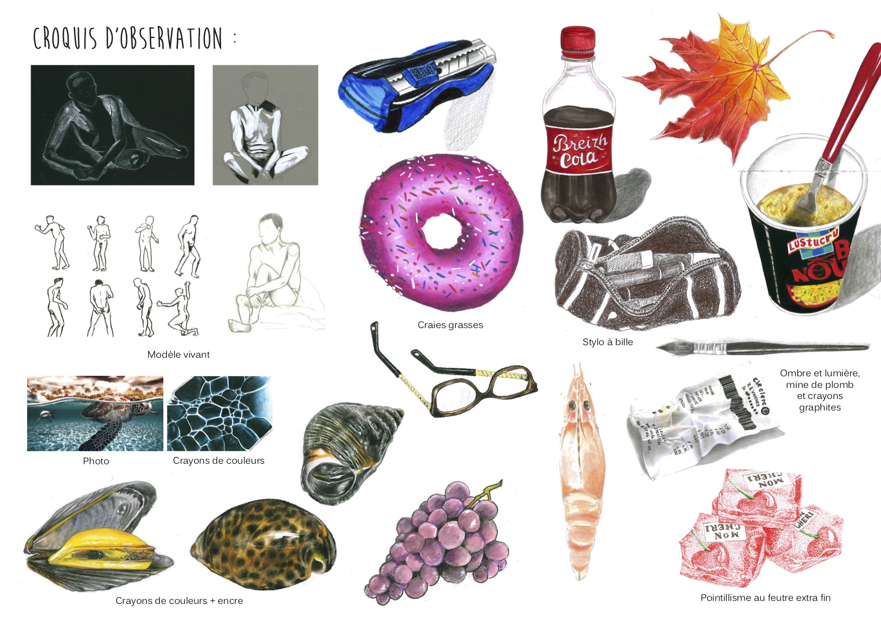 croquis d'observation